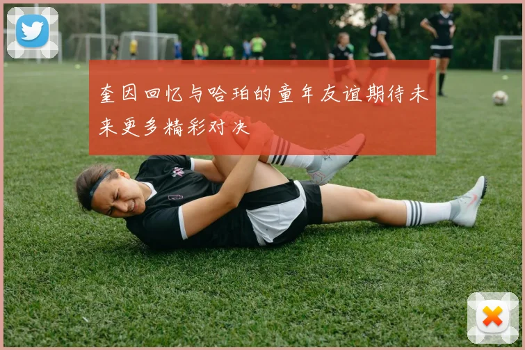 奎因回忆与哈珀的童年友谊期待未来更多精彩对决