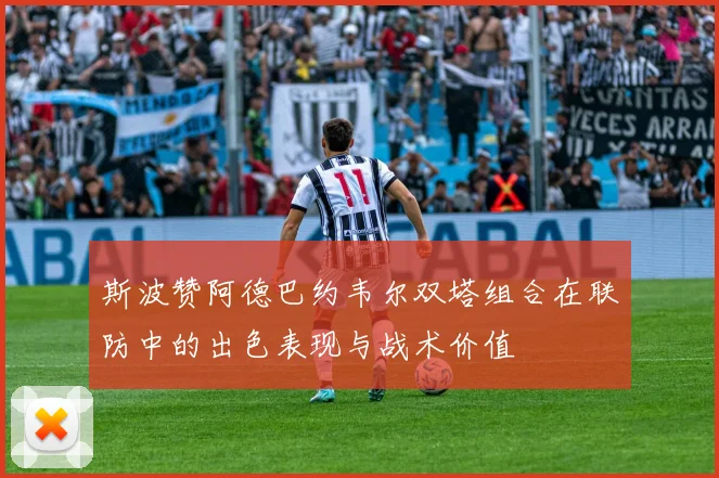 斯波赞阿德巴约韦尔双塔组合在联防中的出色表现与战术价值