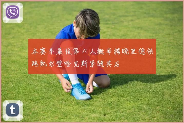 本赛季最佳第六人概率揭晓里德领跑凯尔登哈克斯紧随其后