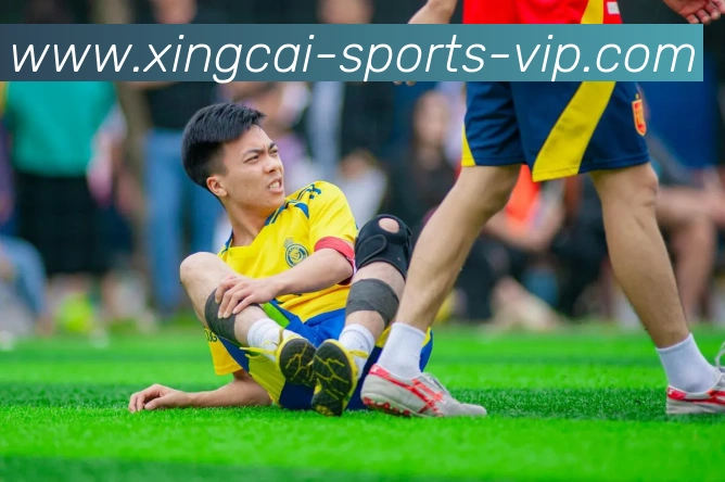 杏彩体育平台生态图