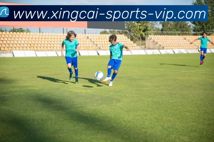 杏彩体育APP 封面图